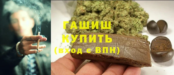 гашик Алексин