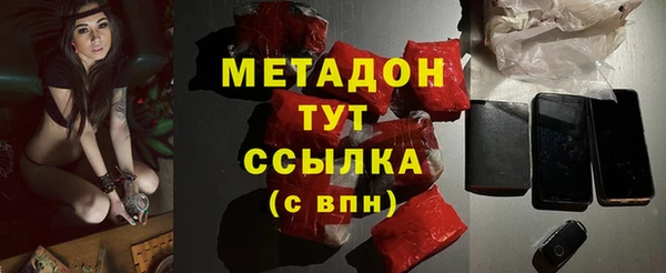 гашик Алексин