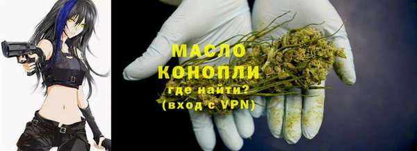 гашик Алексин