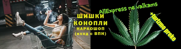гашик Алексин