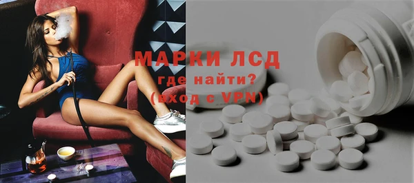 гашик Алексин