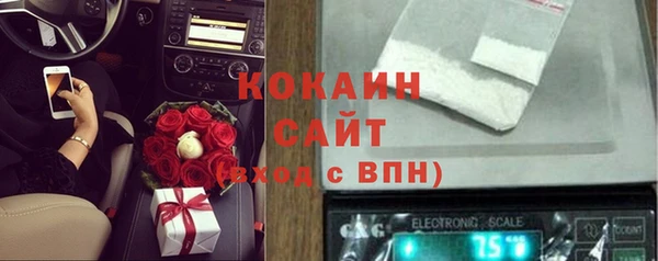 гашик Алексин