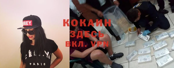 дурь Алексеевка