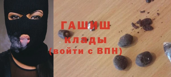 гашик Алексин