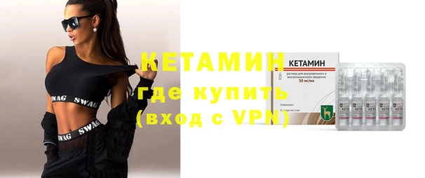 гашик Алексин