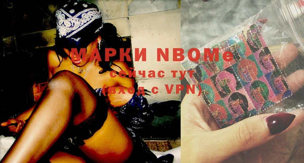 гашик Алексин