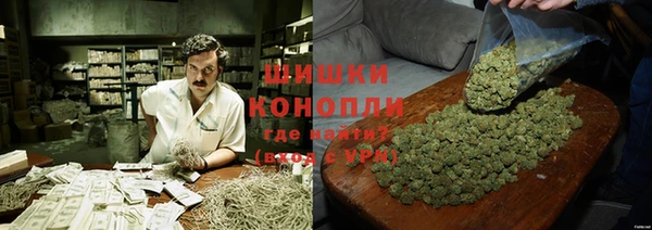 дурь Алексеевка